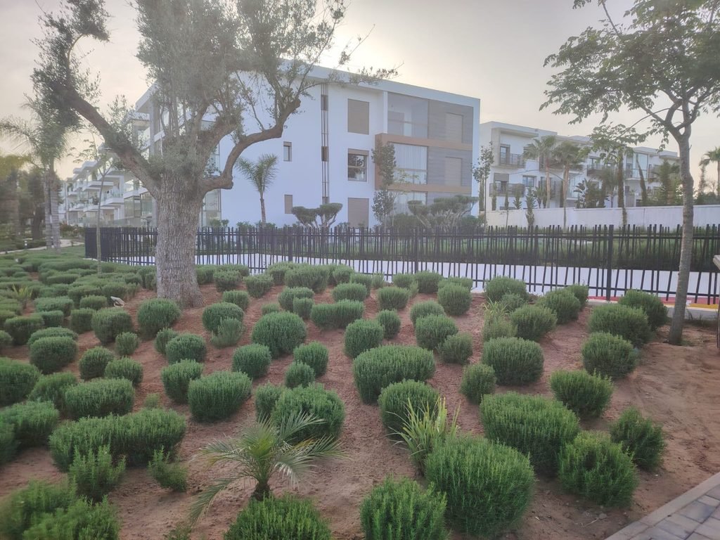Investissement touristique à Rabat